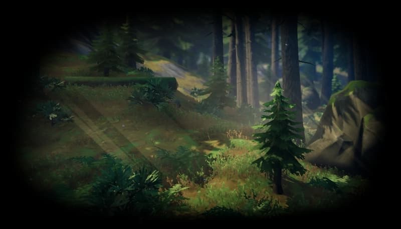The Black Forest biome in Valheim