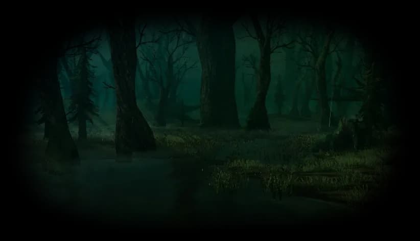 The Swamp biome in Valheim